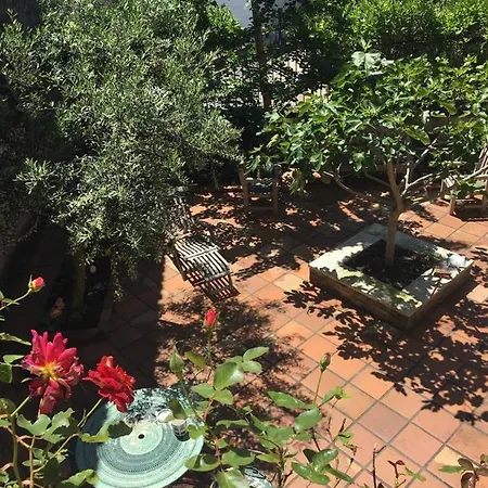 Bazas Inn Guest house *